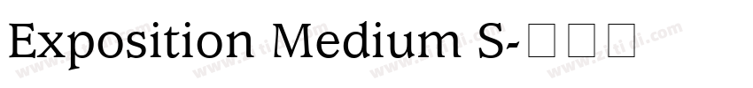 Exposition Medium S字体转换